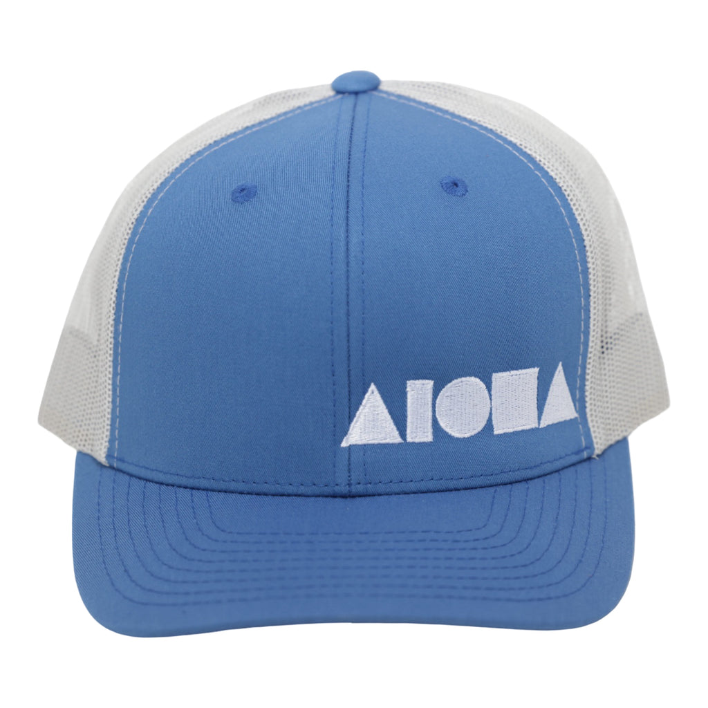 CAROLINA BLUES Adult Curved Bill Snapback