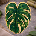 Bamboo Monstera Sticker