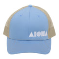 BLUE DAYS Richardson 112 Adult Curved Bill Snapback