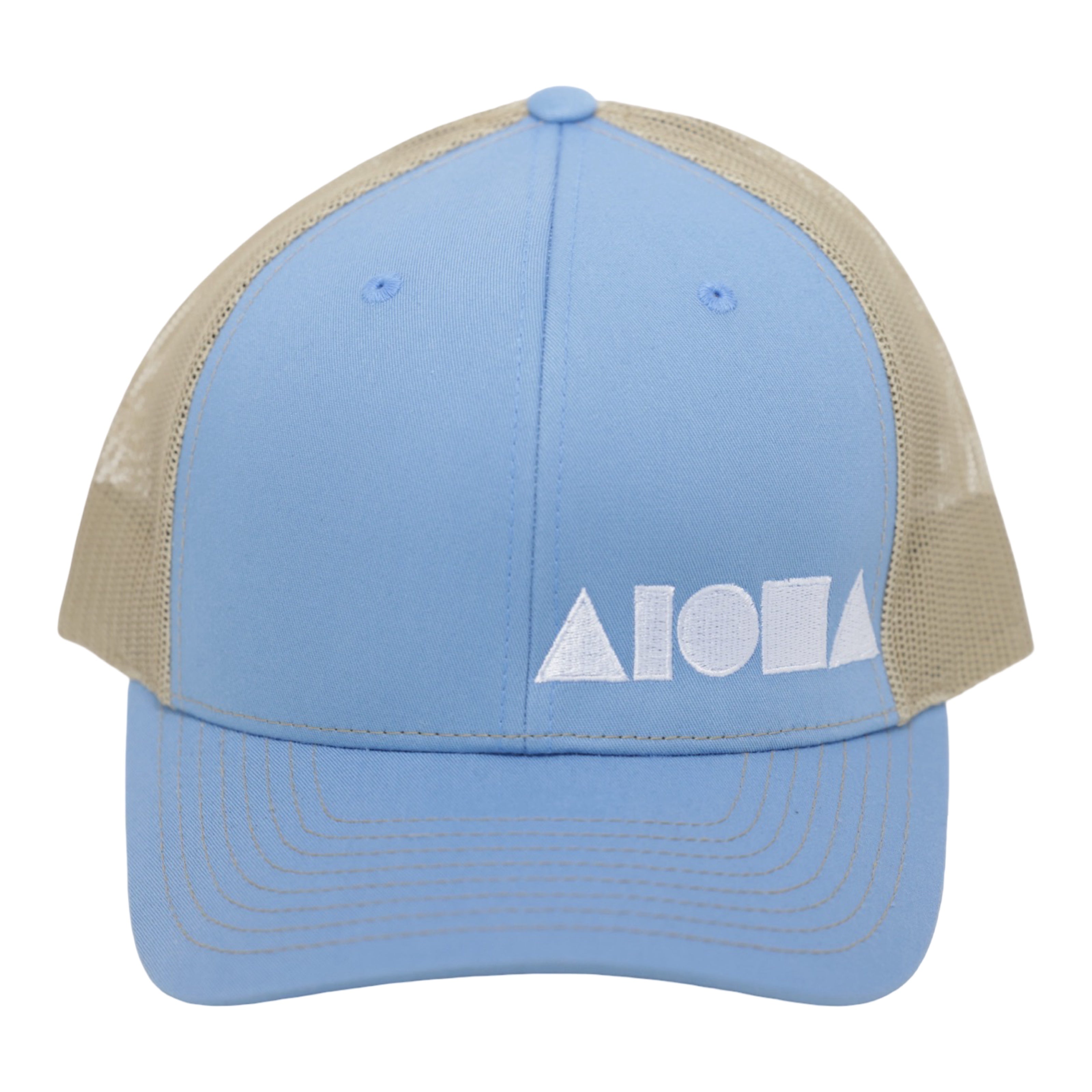 BLUE DAYS Richardson 112 Adult Curved Bill Snapback