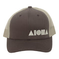 BROWN AND TAN Adult Curved Bill Snapback