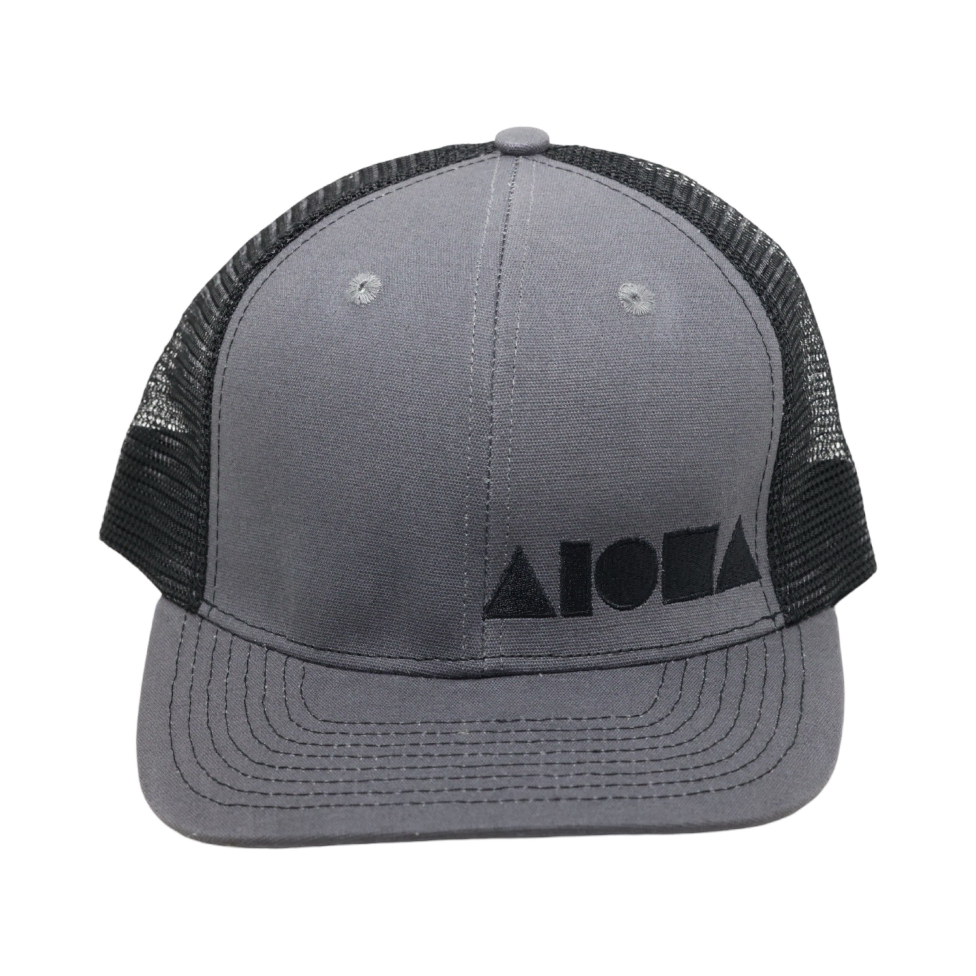 CHARCOAL Adult Curved Bill Snapback