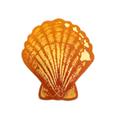 Sunrise Shell Hawaiian Chain ANXD Sticker