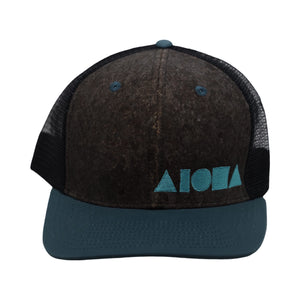 CORK BLUES Adult Subtle Curved Bill Snapback
