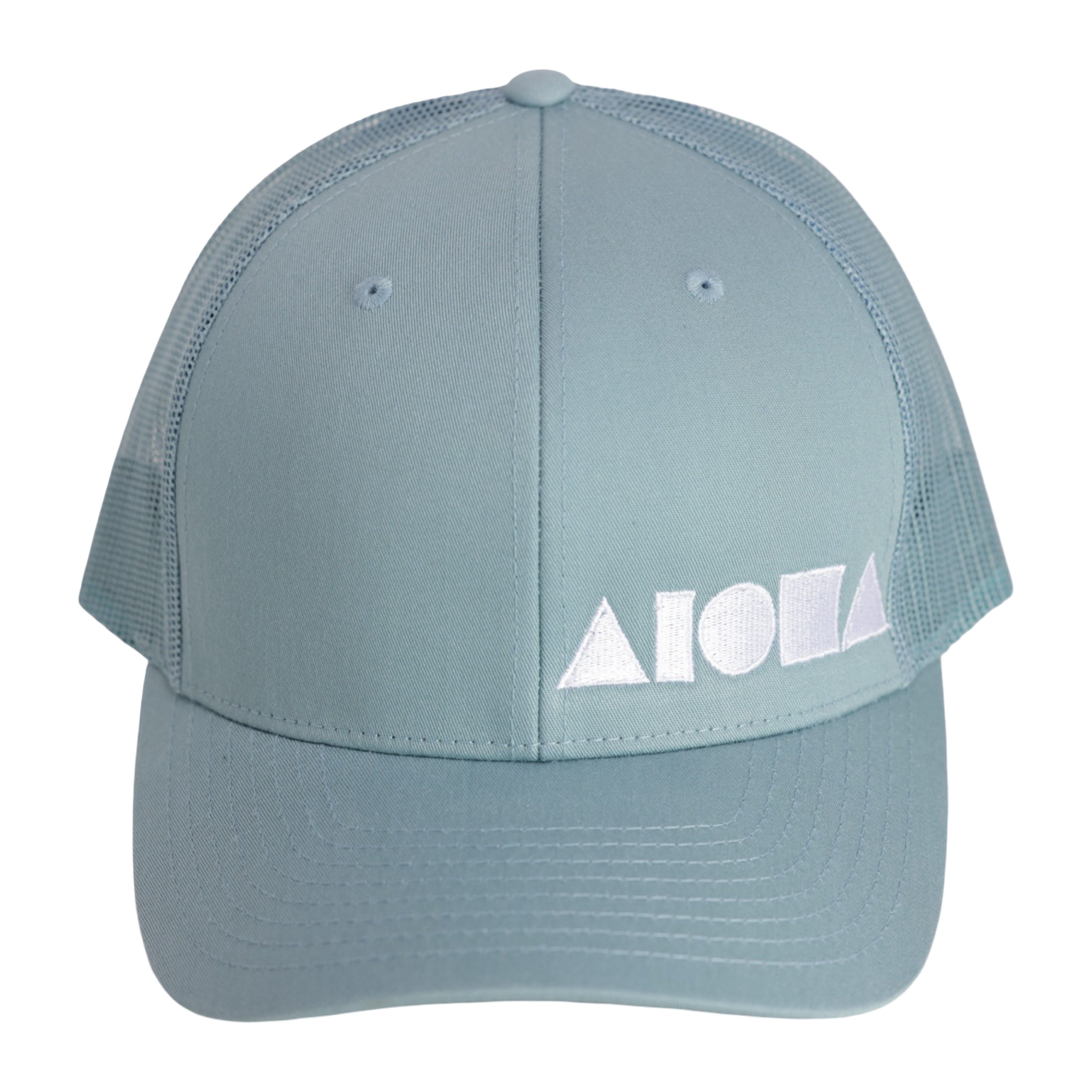 DOLPHIN Richardson 112 Adult Curved Bill Snapback