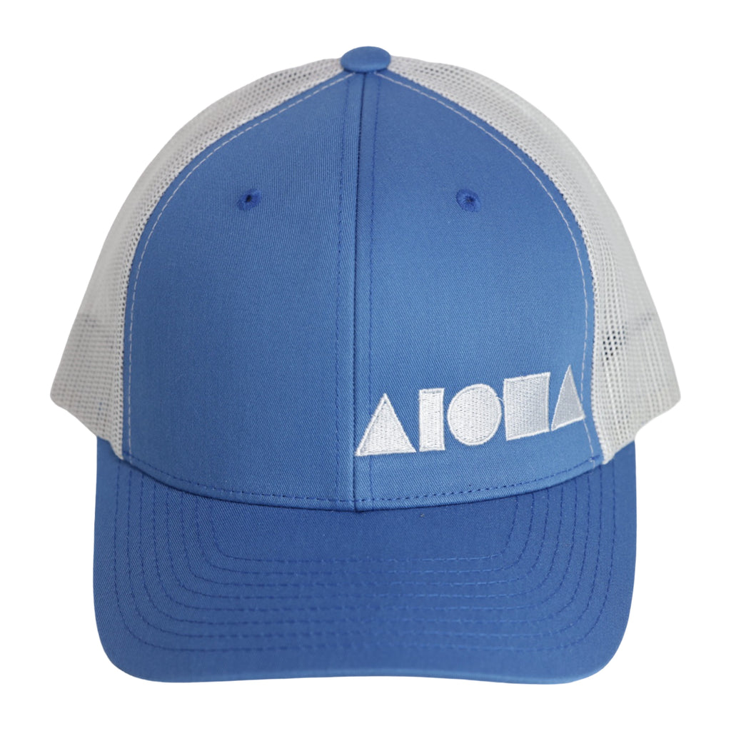 CAROLINA BLUES Adult Curved Bill Snapback