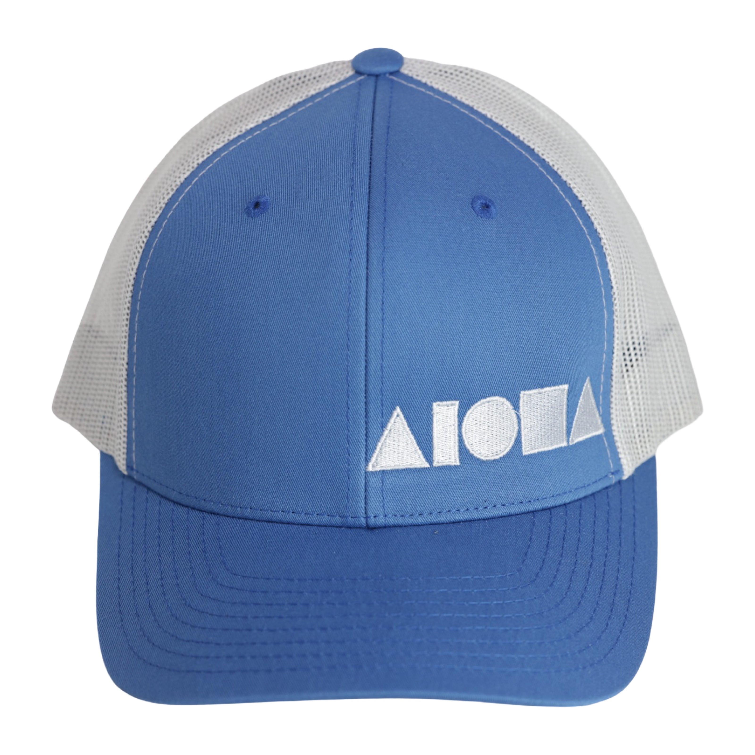 CAROLINA BLUES Adult Curved Bill Snapback