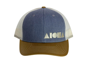 DENIM DAYS Adult Curved Bill Snapback