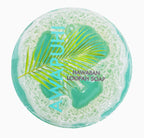 AWAPUHI Sea Salt & Kukui Exfoliating Loofah Soap