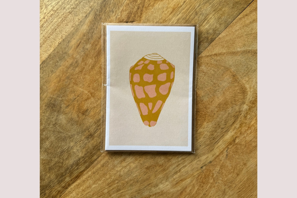 HEBREW CONE SHELL Blank Watercolor Greeting Card | Sierra Rehrer Designs