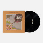 Muddy Waters — Fathers and Sons | 1969 Blues Vinyl LP