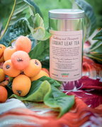 LOQUAT LOVE Loose Leaf Tea