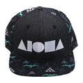SOARING Adult Snapback