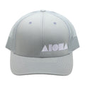 CLOUDY Richardson 112 Adult Curved Bill Snapback