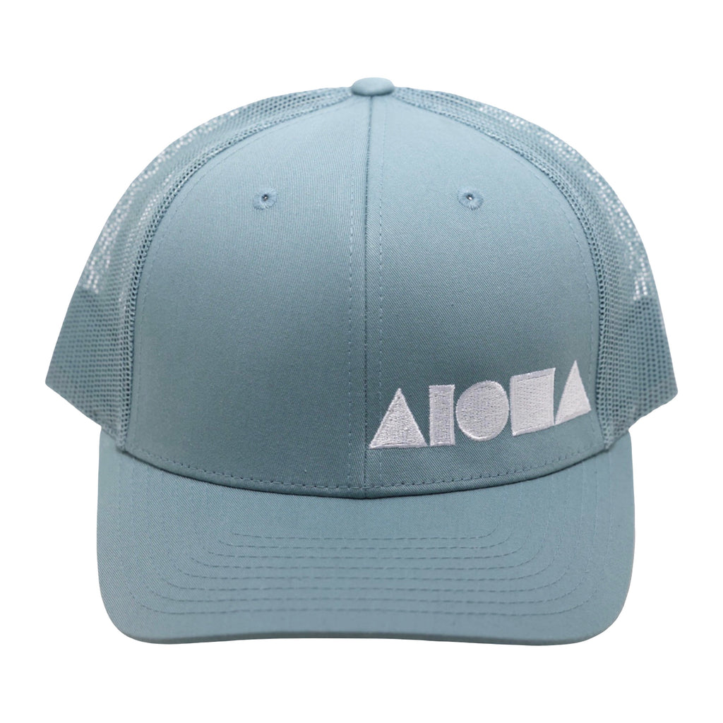 DOLPHIN Richardson 112 Adult Curved Bill Snapback