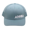 DOLPHIN Richardson 112 Adult Curved Bill Snapback