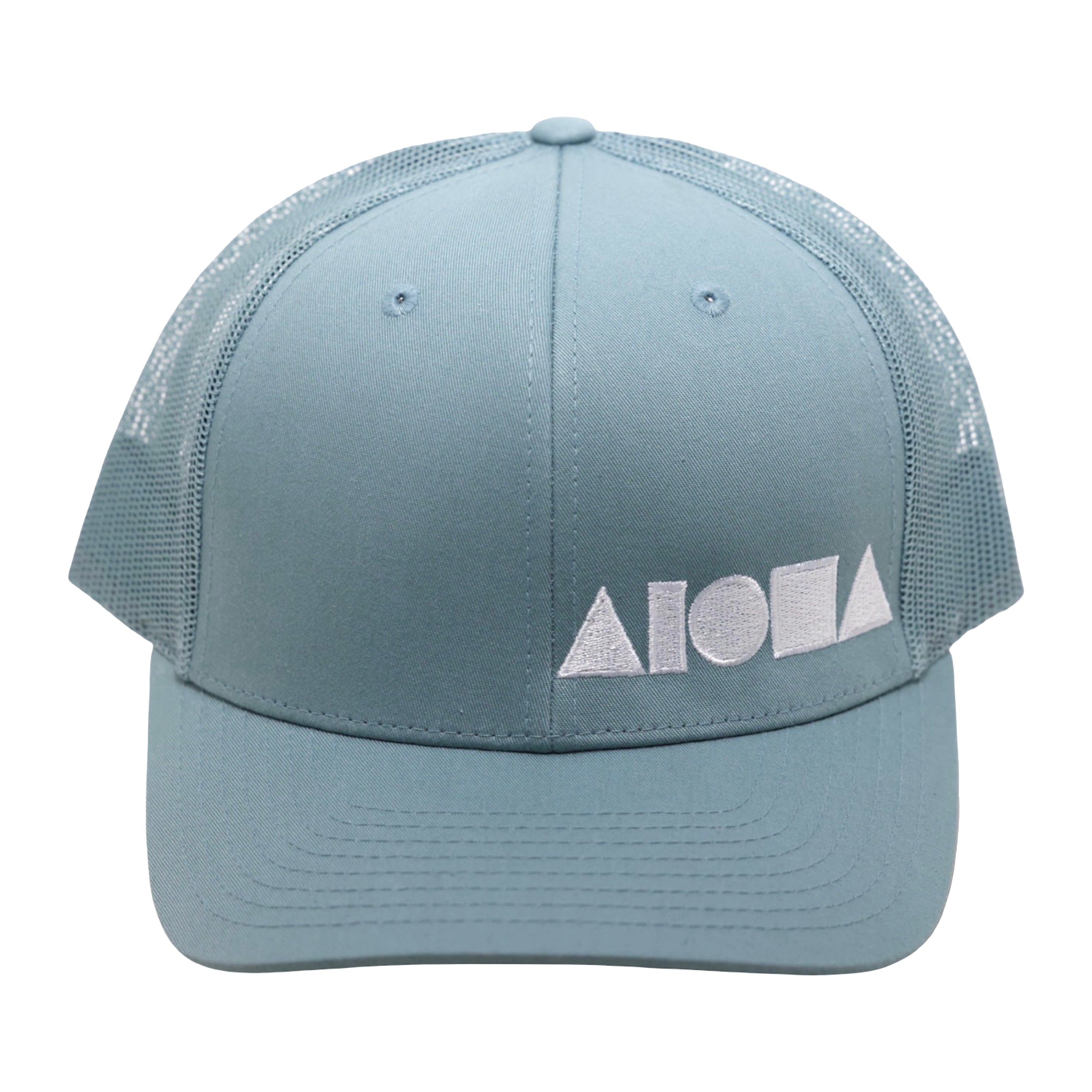 DOLPHIN Richardson 112 Adult Curved Bill Snapback
