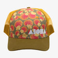 SUNRISE SHELL Adult Curved Bill Snapback