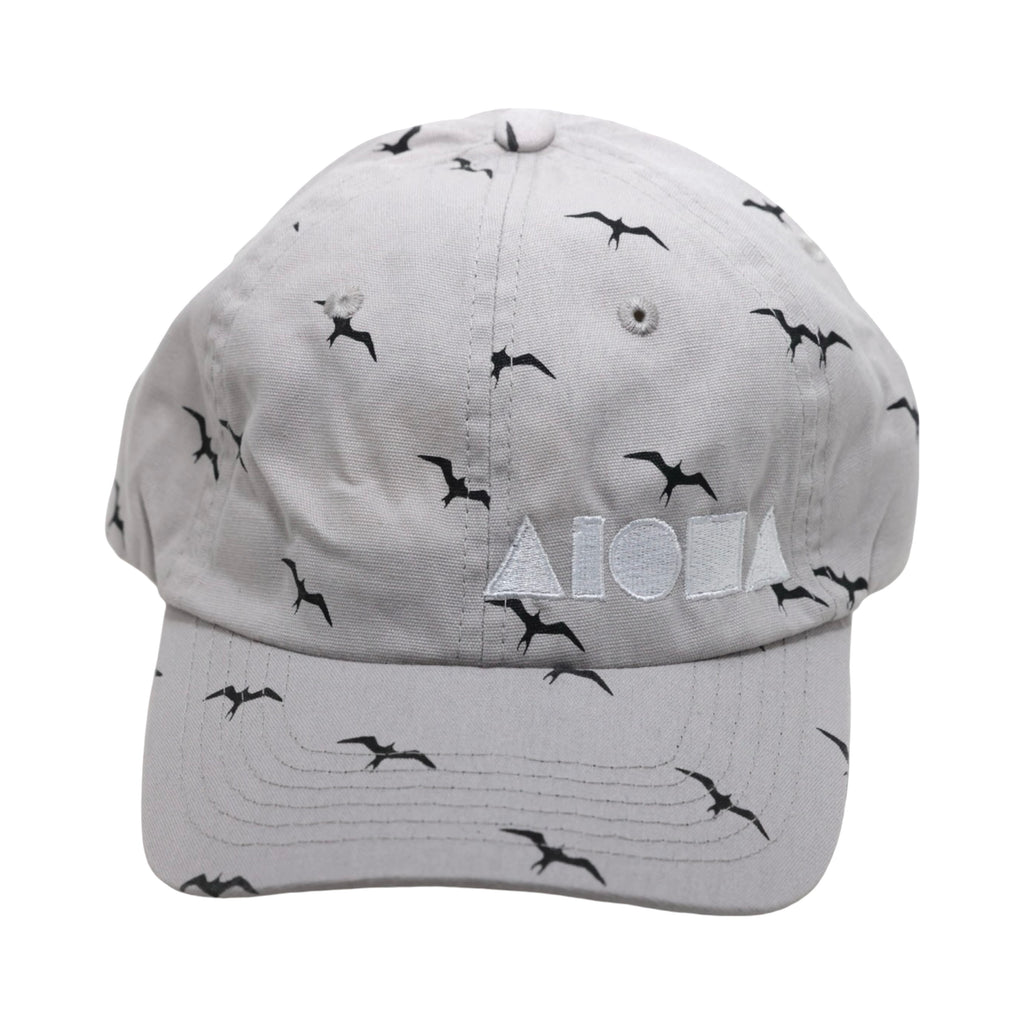 GREY IWA Adult Curved Bill Baseball Cap