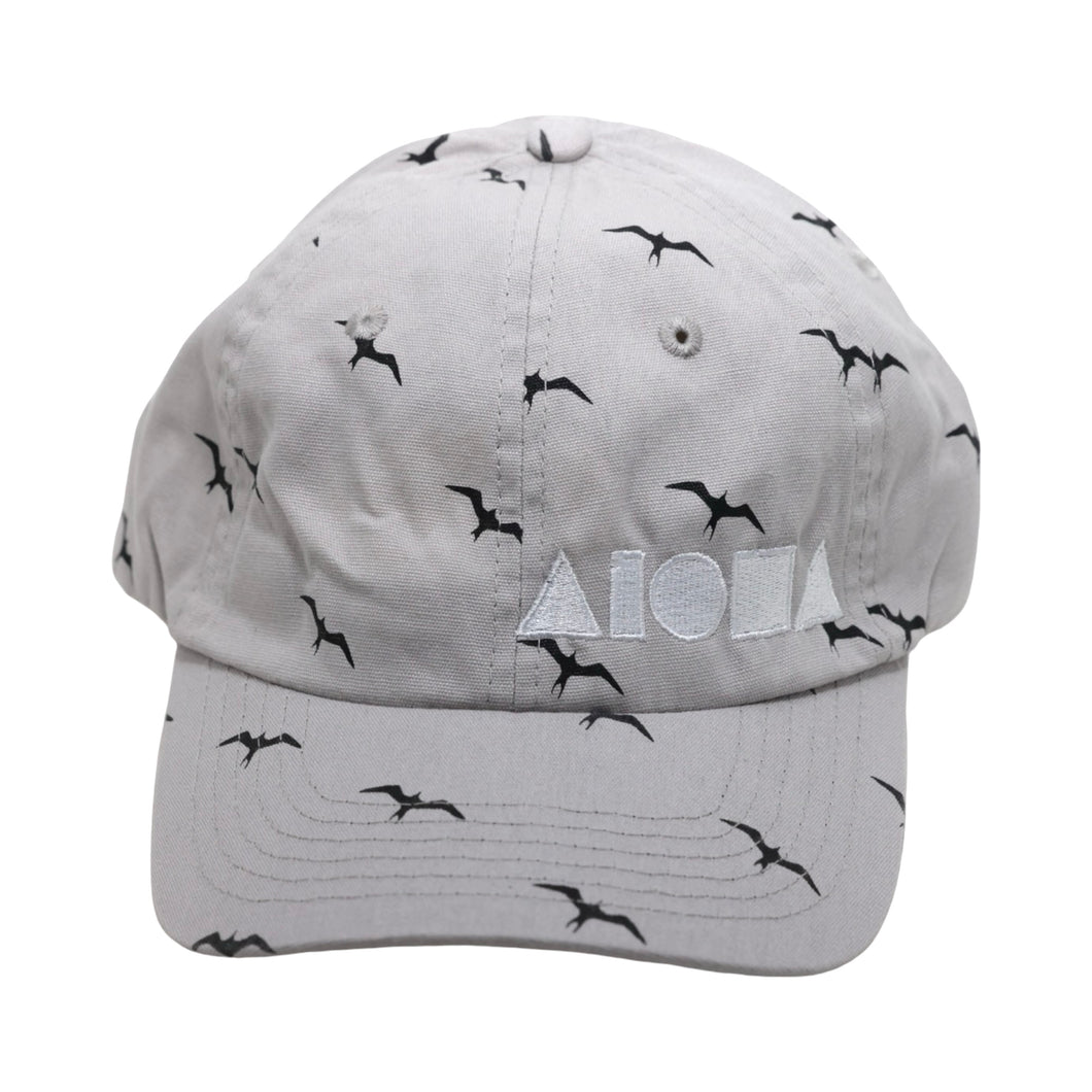 GREY IWA Adult Curved Bill Baseball Cap