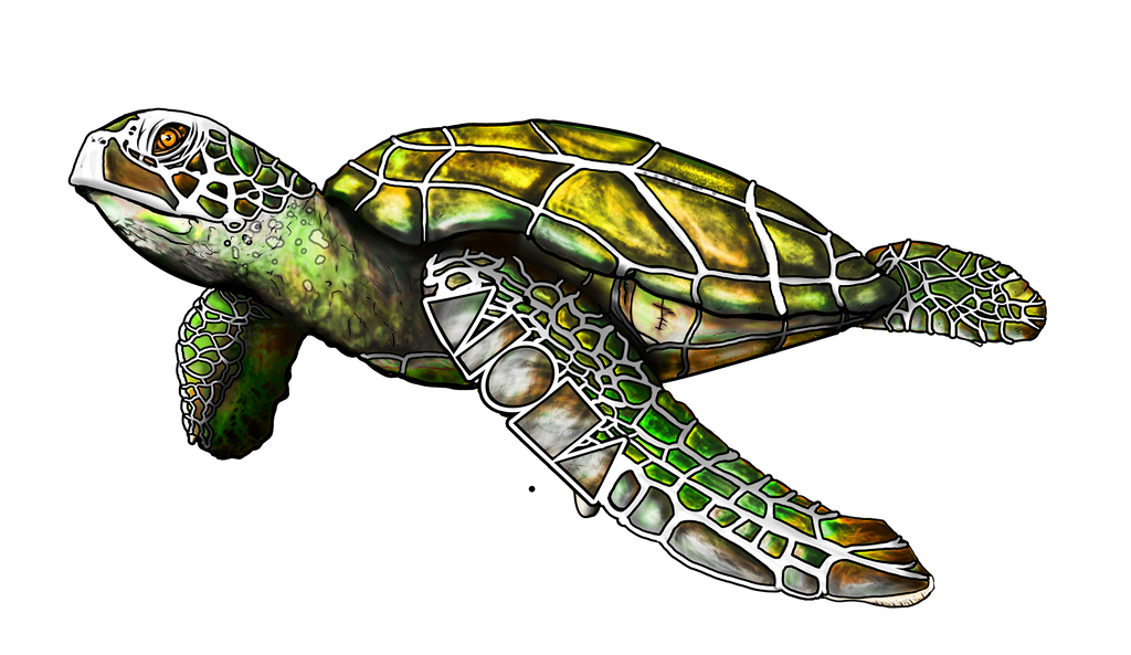 Green Hawaiian sea turtle created with our Aloha Shapes logo hidden inside