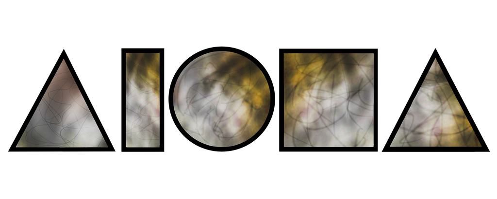 Aloha Shapes® logo in sea turtle colors